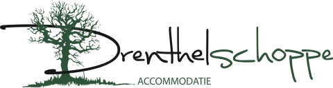 Drenthelschoppe impressie