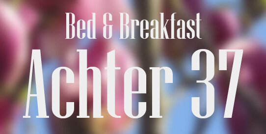 Afbeelding van Achter 37