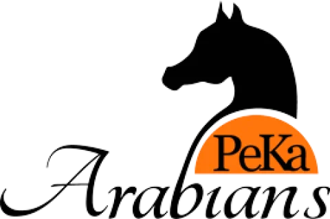 De Kibbelhoeve impressie