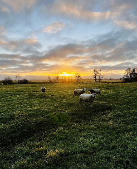 Afbeelding van Erfgoed Rikkerda