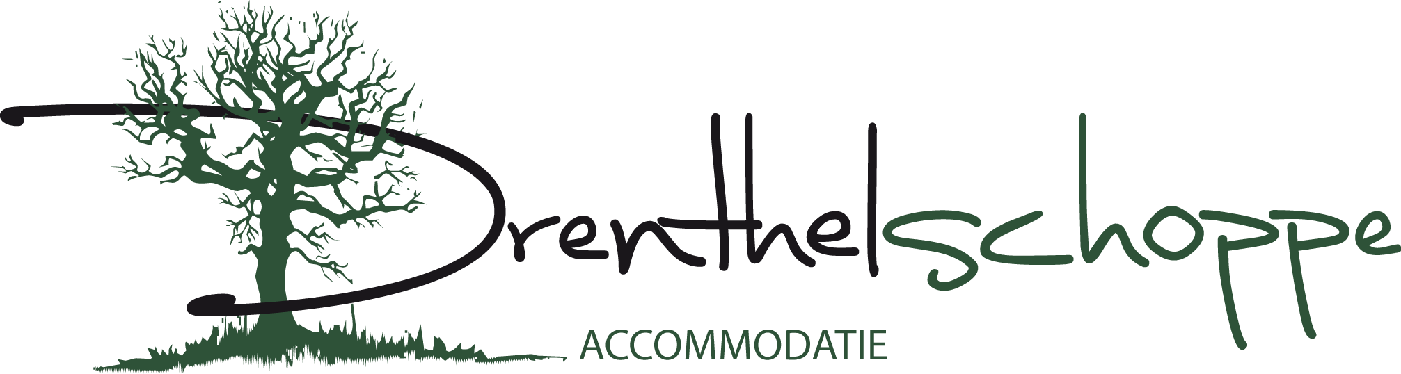 Logo Drenthelschoppe