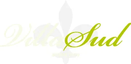 Logo VillaSud B.V.
