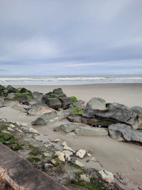 Afbeelding van Bed en breakfast Stad en Strand