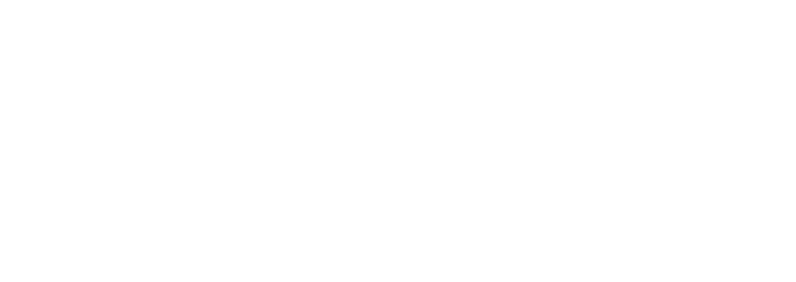 Logo Dynamique Sportieve Evenementen