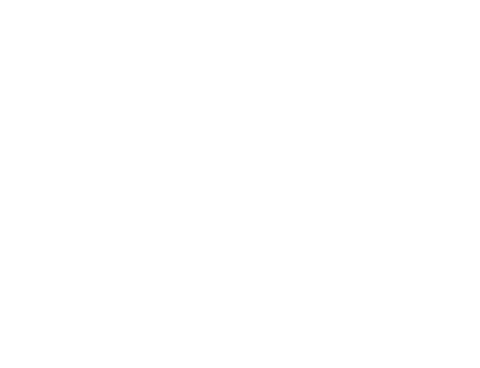 Swarte Walvis B.V. impressie