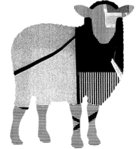 Shepherdshouse impressie