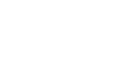 Bok's Bungalowpark B.V. impressie