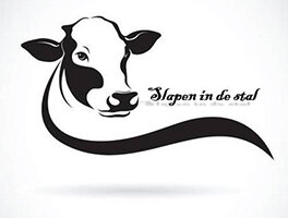 Logo slapenindestal