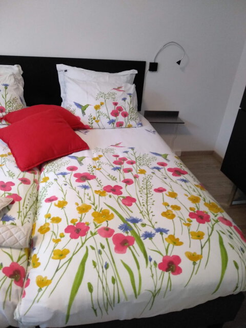 Afbeelding van Haarlem 49