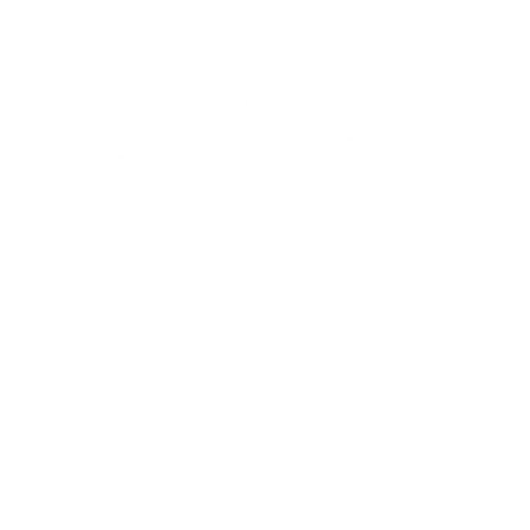 Het Wapen van Tilburg impressie