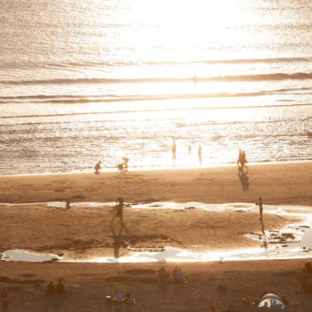 Afbeelding van Dreef Beheer B.V.