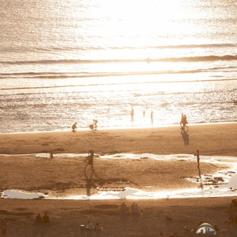 Dreef Beheer B.V. impressie