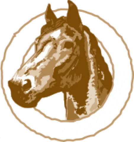 Klein Oever B.V. impressie