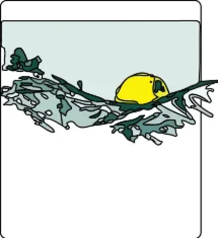 Westomij B.V. impressie